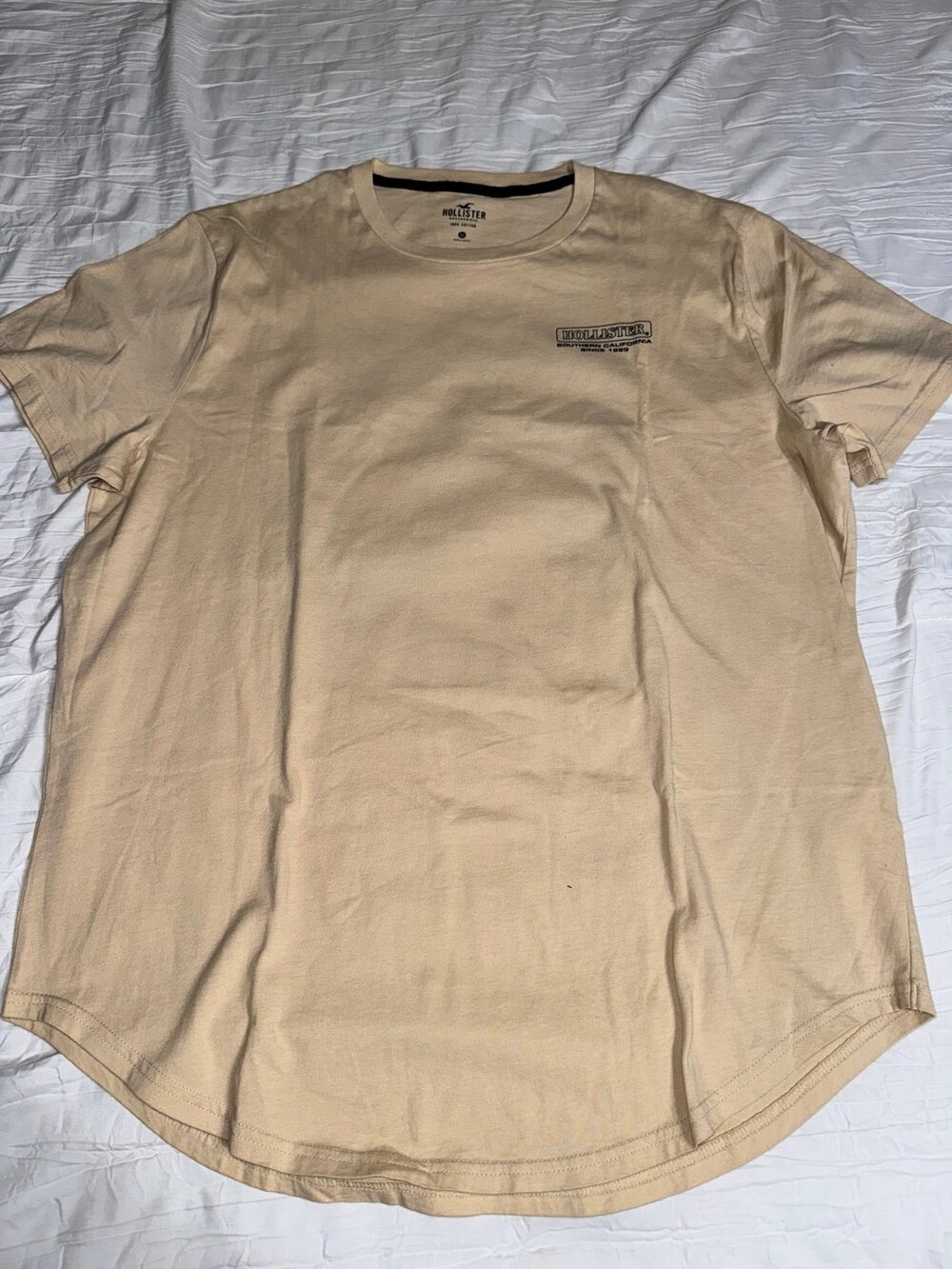 Hollister T Shirt